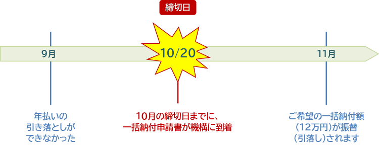 一括納付を希望する月が奇数月の場合